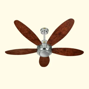 DECENT PLUS FAN