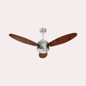 DECENT FAN