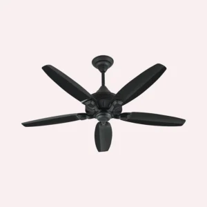 GRACE FAN