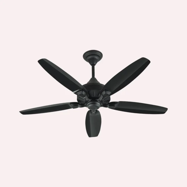 GRACE FAN