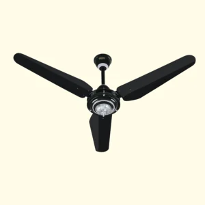 SMART ANTIQUE FAN