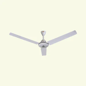 SAFARI FAN