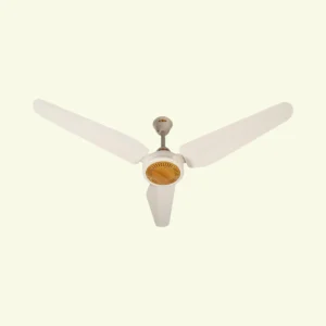 NEW CLASSIC FAN