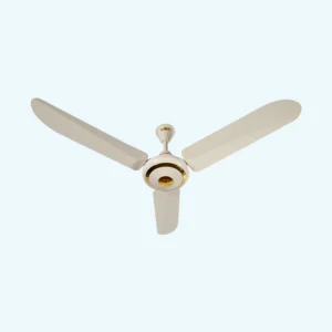 VIP FAN