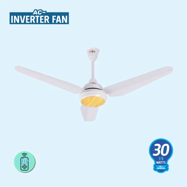 Crown AC Inverter Fan - Image 2